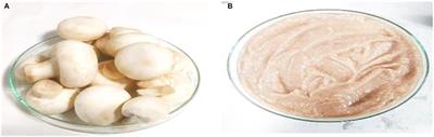 Effect of Maltodextrin and Soy Protein Isolate on the Physicochemical and Flow Properties of Button Mushroom Powder